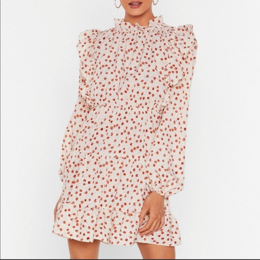 Steal the grow mini dress